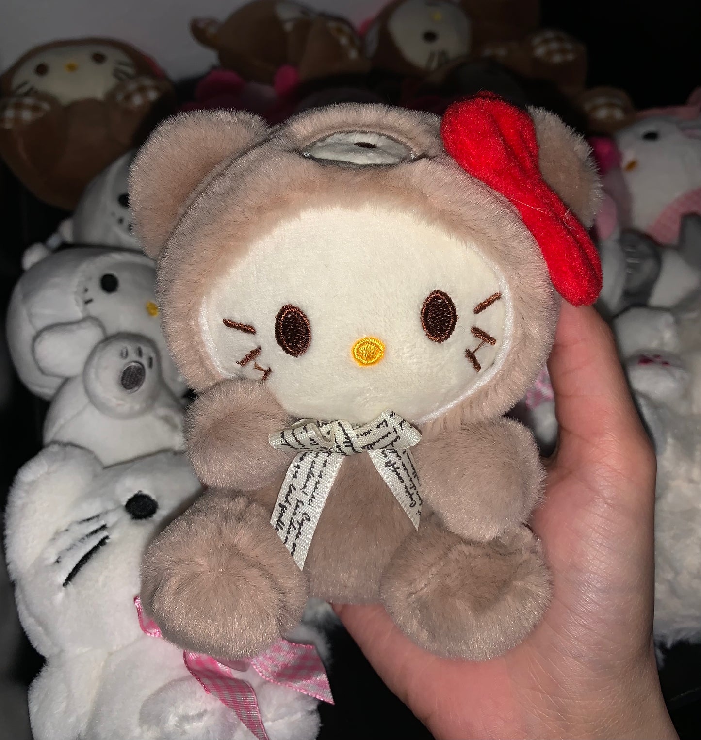 Bear Costume Plush